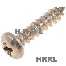 Pan SS Self Tapping Screws